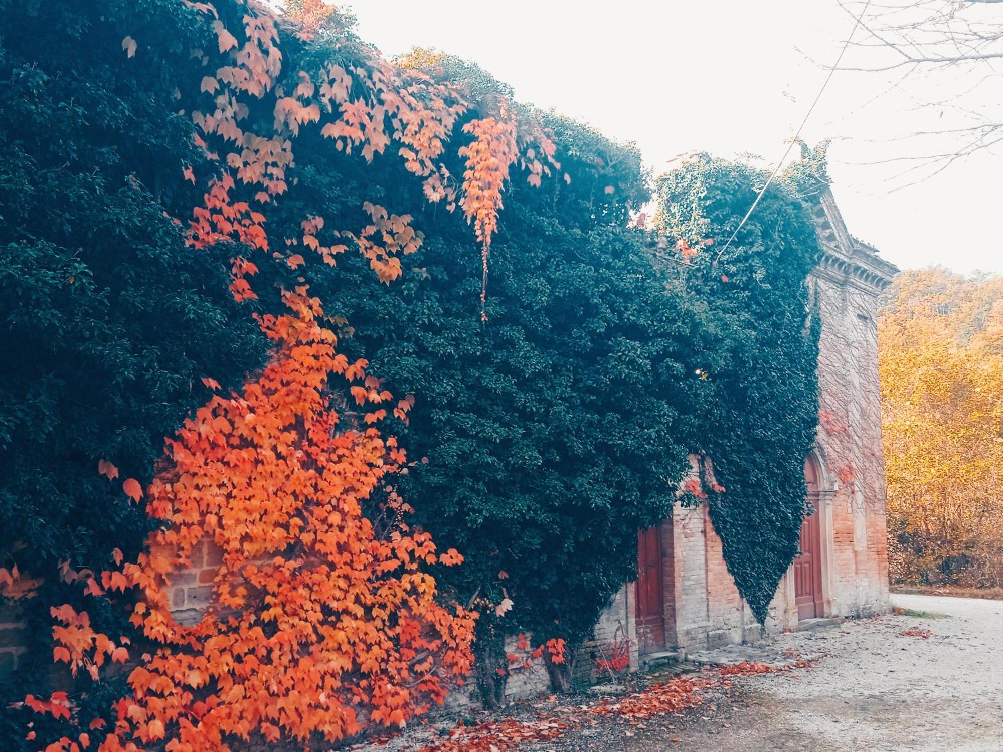 Villa Castello Di Baccaresca Branca Exterior foto