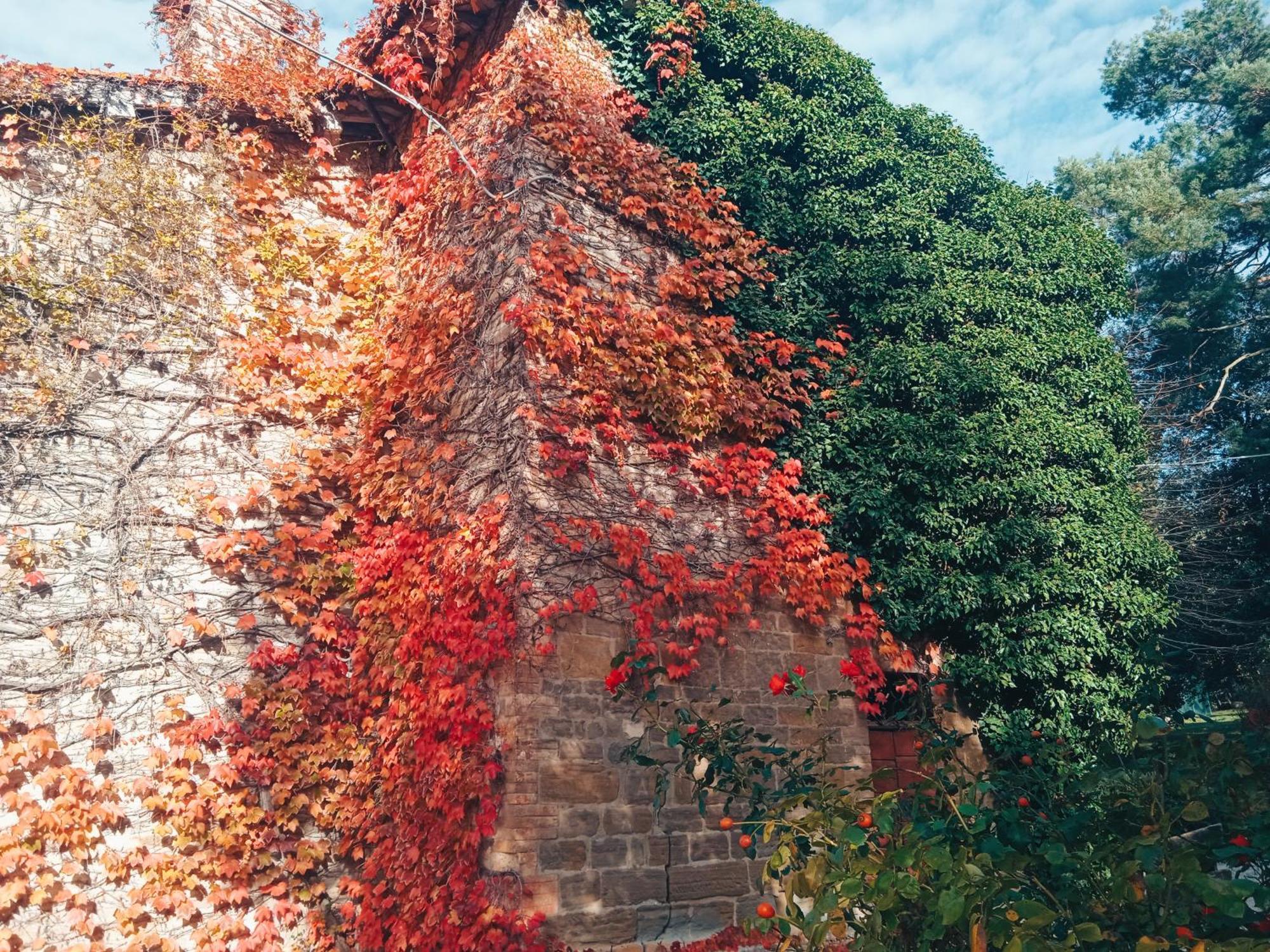 Villa Castello Di Baccaresca Branca Exterior foto