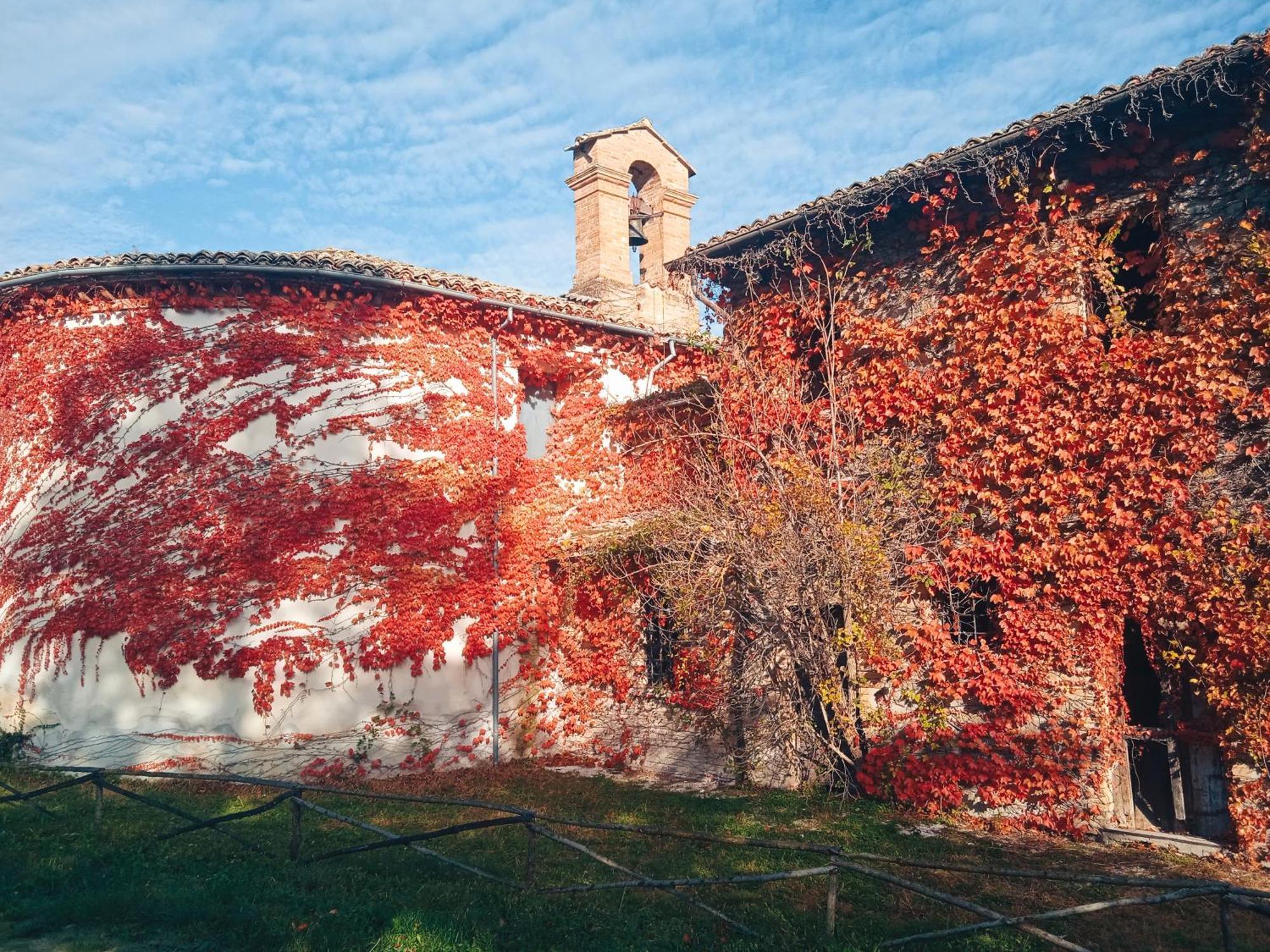 Villa Castello Di Baccaresca Branca Exterior foto